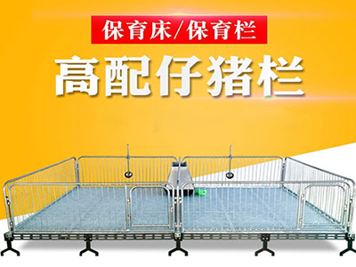 為什么說仔豬保育床是豬場必不可少的養(yǎng)豬設(shè)備