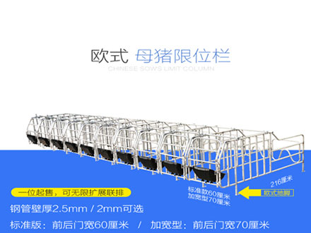 歐式母豬定位欄